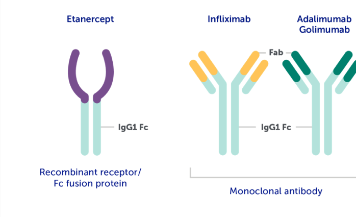 Understanding the clinical implications of high RF in RA